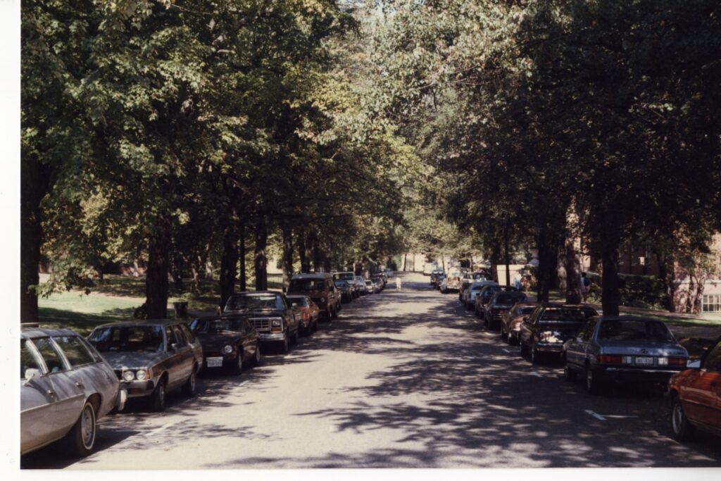 A color photo of campus drive with cars parked on either side of the road and a student in the background walking across it. 
